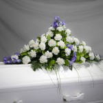 4. Vita Nejlikor, Blå Iris, Björngräs
