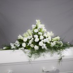 9. Vita nejlikor, Vita liljor, Vita Iris, Vita prärieklockor, plumosa