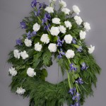 1. Vita nejlikor, Blå iris