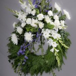 6. Vita gladiolus, Vita krysantemum, Stormhatt, Murgröna